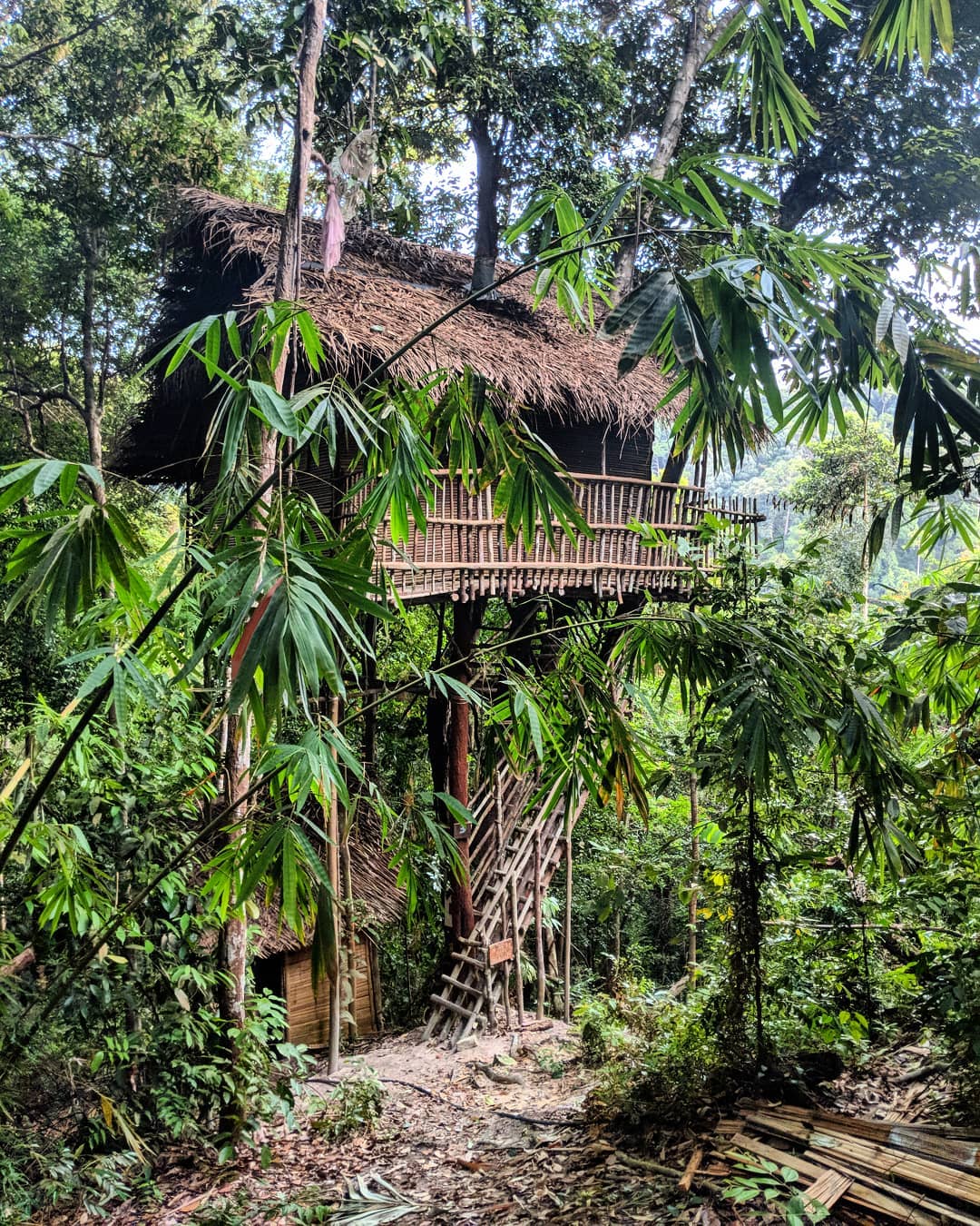Rainforest Tree House Johor